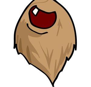 Barba Longa