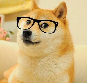 Doge Fourt