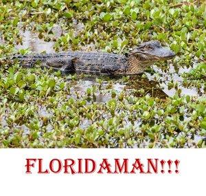 FloridaMan Diplomacy