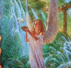 Gifts of the universe