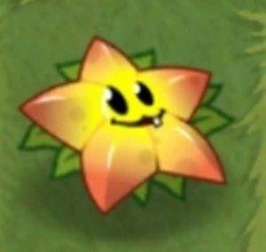 Mr. Starfruit
