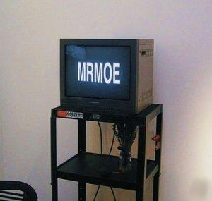 MrMoe