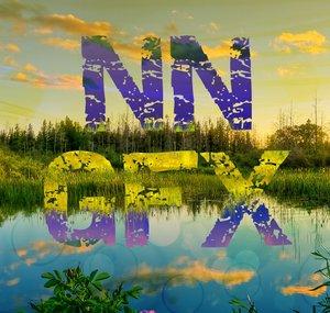 NukedNinja