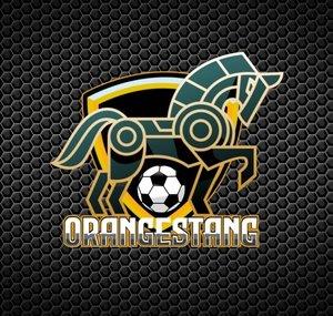 Orange Stang F.C. 