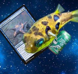 Puffermemer