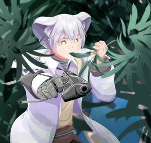 Taida Koara Ch.