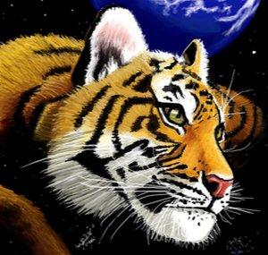 Tiger Lost