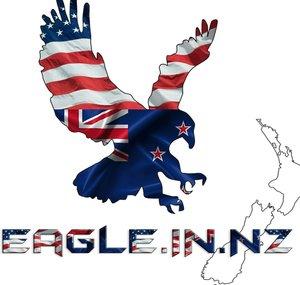 Eagle.in.America