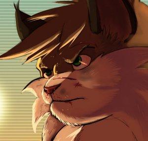 Kazecat