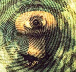 Psychedelic Eyeball