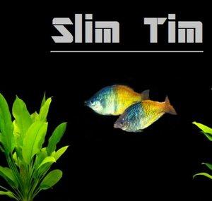 SlimTim Dirty Aquatics 