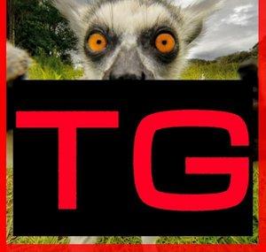 Tehno-Gamer
