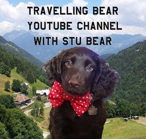 The Travelling Bear With Stu Bear