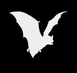 White Bat Audio