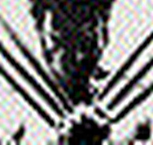 wolverine3566