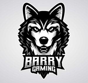 Barry Gaming Too