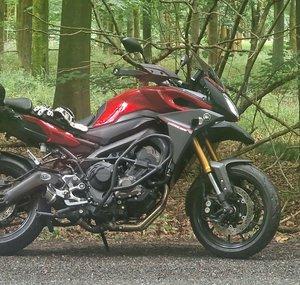 Bikes, Bites, and Beyond