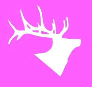 Entertain The Elk