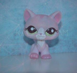 kaïlie dream