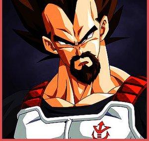 King Vegeta
