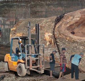Sawmill Canggih