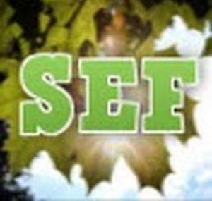 Süd Esmeraldisches Fernsehen