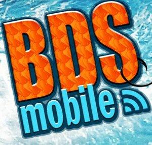 BDStudios 