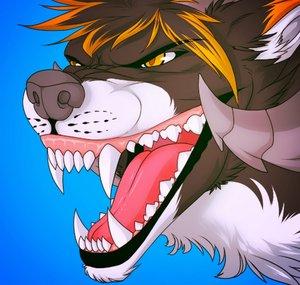 blackwolfkodi