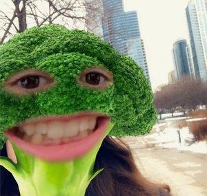 Broccoli Vlogs