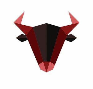 Bulls Central
