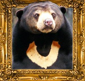 Dokudokus