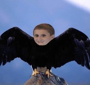 Eagle Holben
