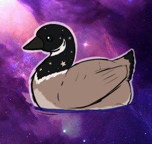 Galactigoose