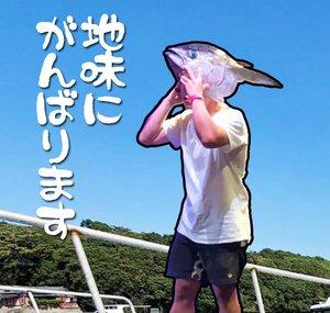 Japan amateur cooking(Raw fish・Sashimi)