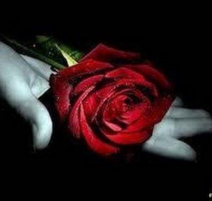 lluviadeamor74