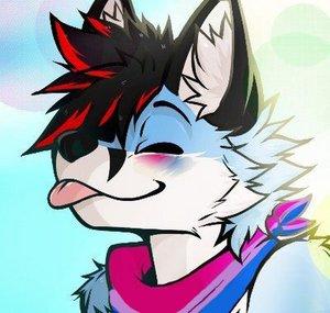 Midnight Wolf