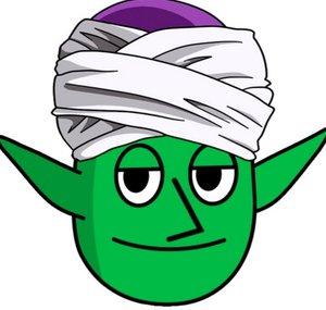 Piccolo Neto