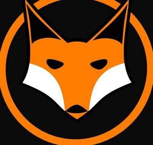 Soul Fox Gaming