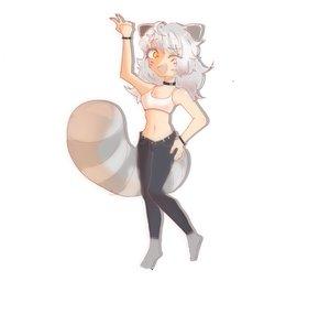 Veil The Raccoon