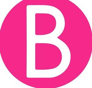 B Chic Fashions