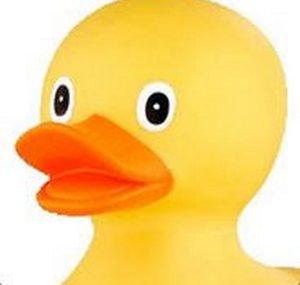 Dook