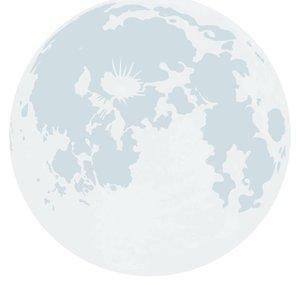 INSIDE THE MOON