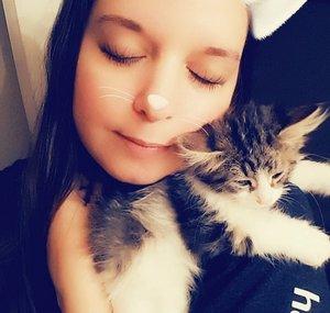 Mech Meowru