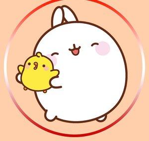Molang Polski