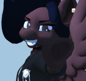 Sky The Pony