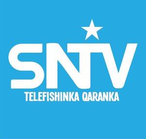 Somali National Television