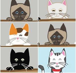The Bloom Cats