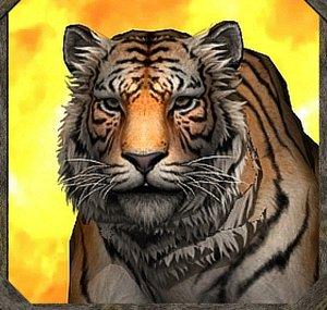 TigerNDV (Tiger Studios)