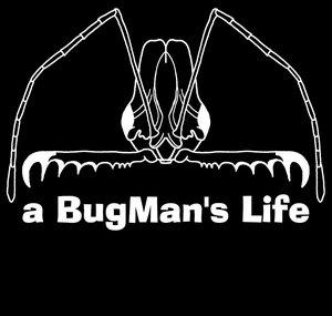 A BugMan's Life
