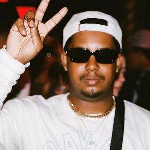 Jasper Dolphin